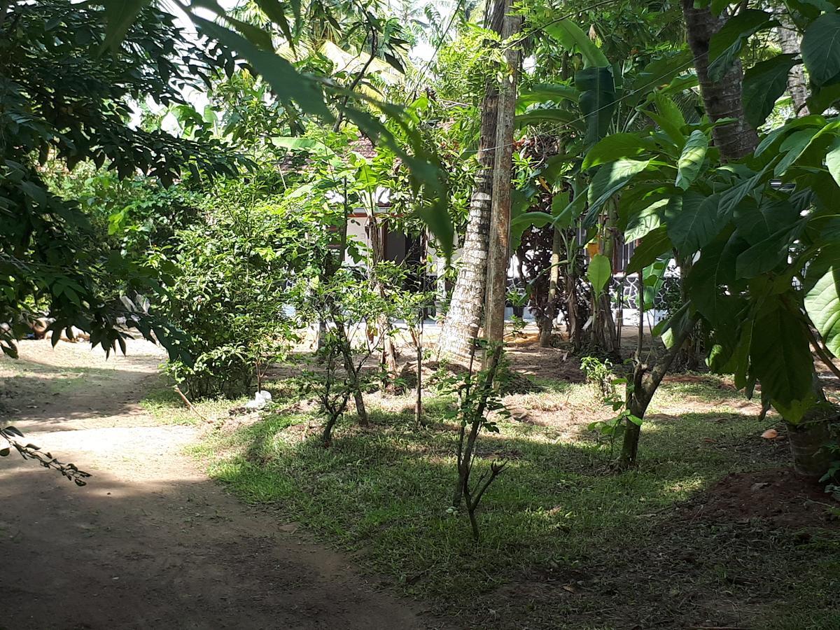 New Sam Tourist Inn Weligama Dış mekan fotoğraf