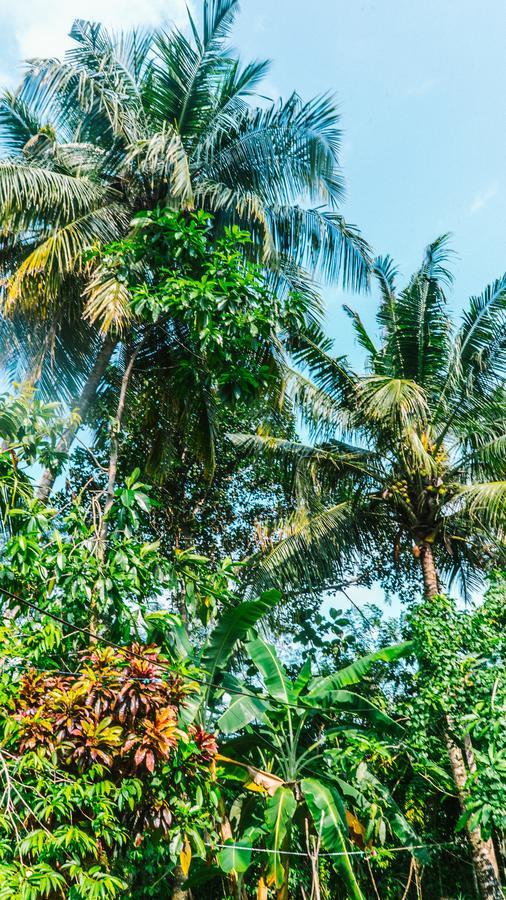 New Sam Tourist Inn Weligama Dış mekan fotoğraf